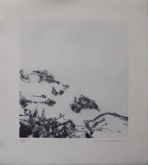 The River - Original handsigned etching, edition of 20