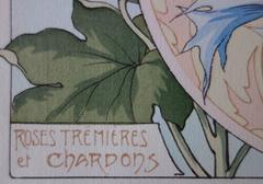 C RIOM : Hollyhocks And Thistles - Original Lithograph - Art Nouveau 1890s