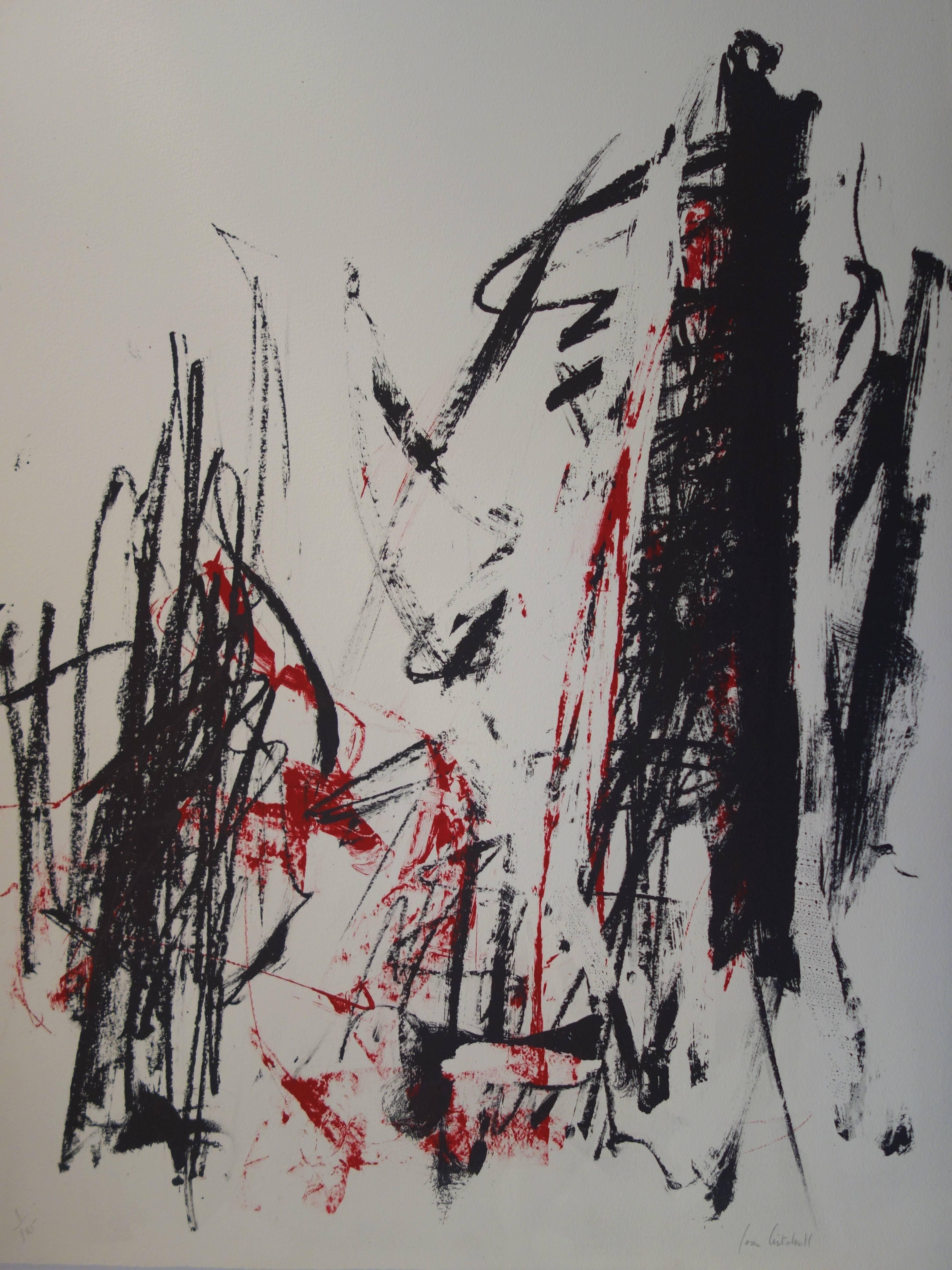 Joan MITCHELL
Trees in red (c. 1990)

Original lithograph
Pencil signed
Limited to 125 copies pencil numbered - Here the very look for copy 1/125
On Arches Vellum 76 x 56 cm (c. 22x30