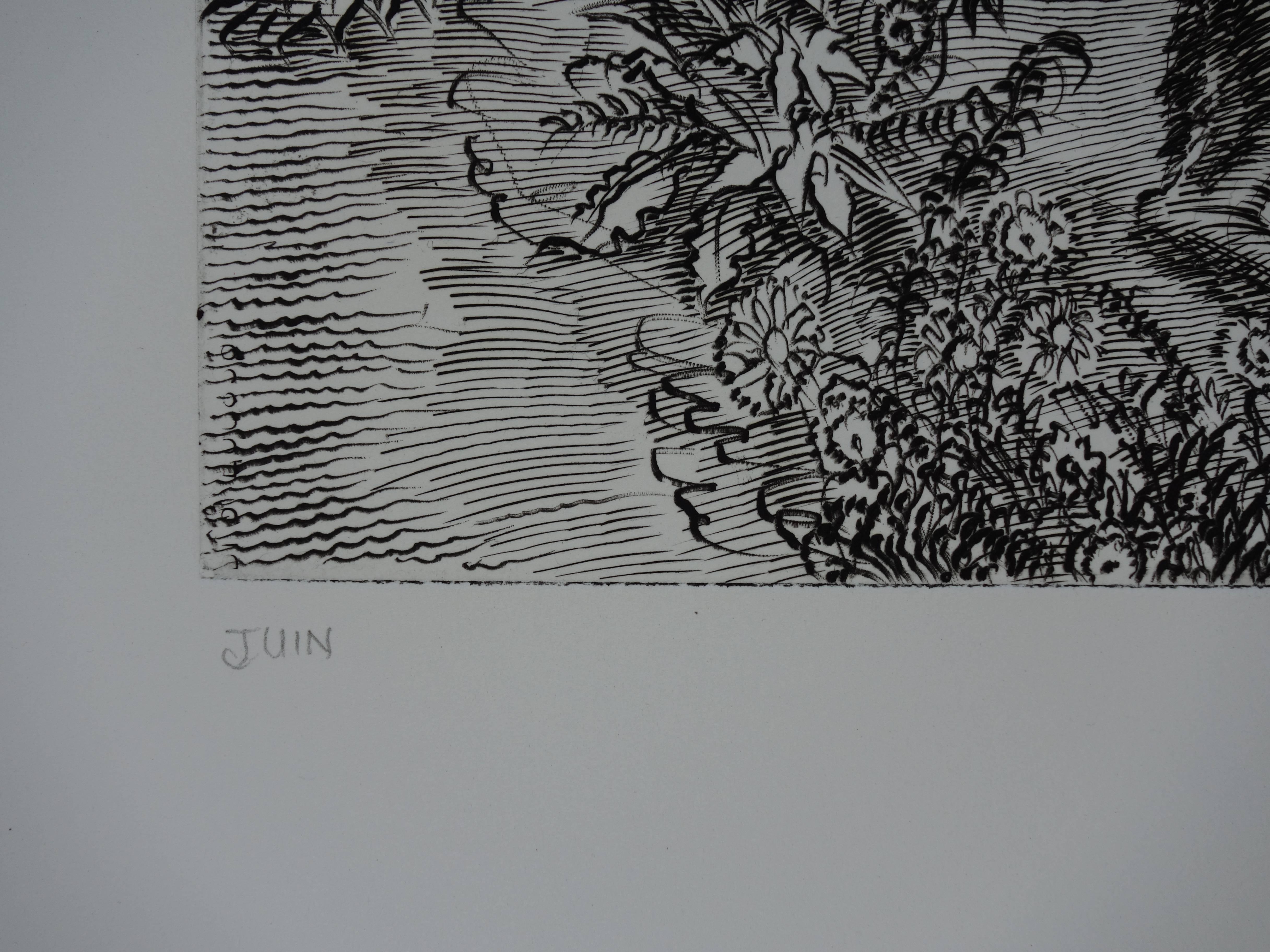 Juni : der Hirte - Original handsignierte Radierung - Außergewöhnlich n° 1/100 (Grau), Figurative Print, von Albert Decaris