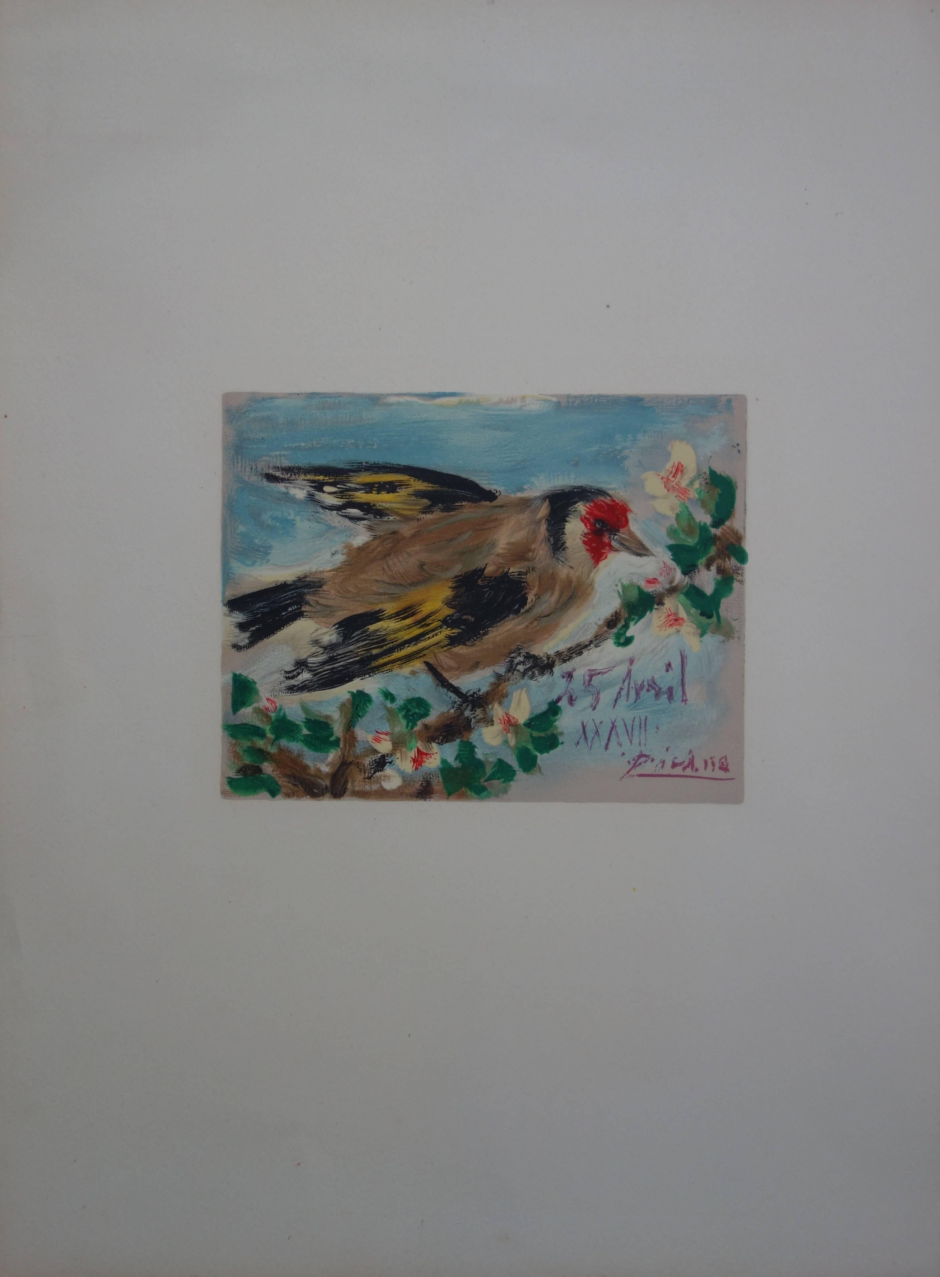 Oiseau sur un arbre en fleurs - Lithographie - 1957 - Réalisme Print par (after) Pablo Picasso