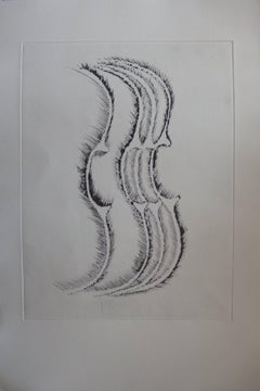 Violin profile - Original etching - 75 copies