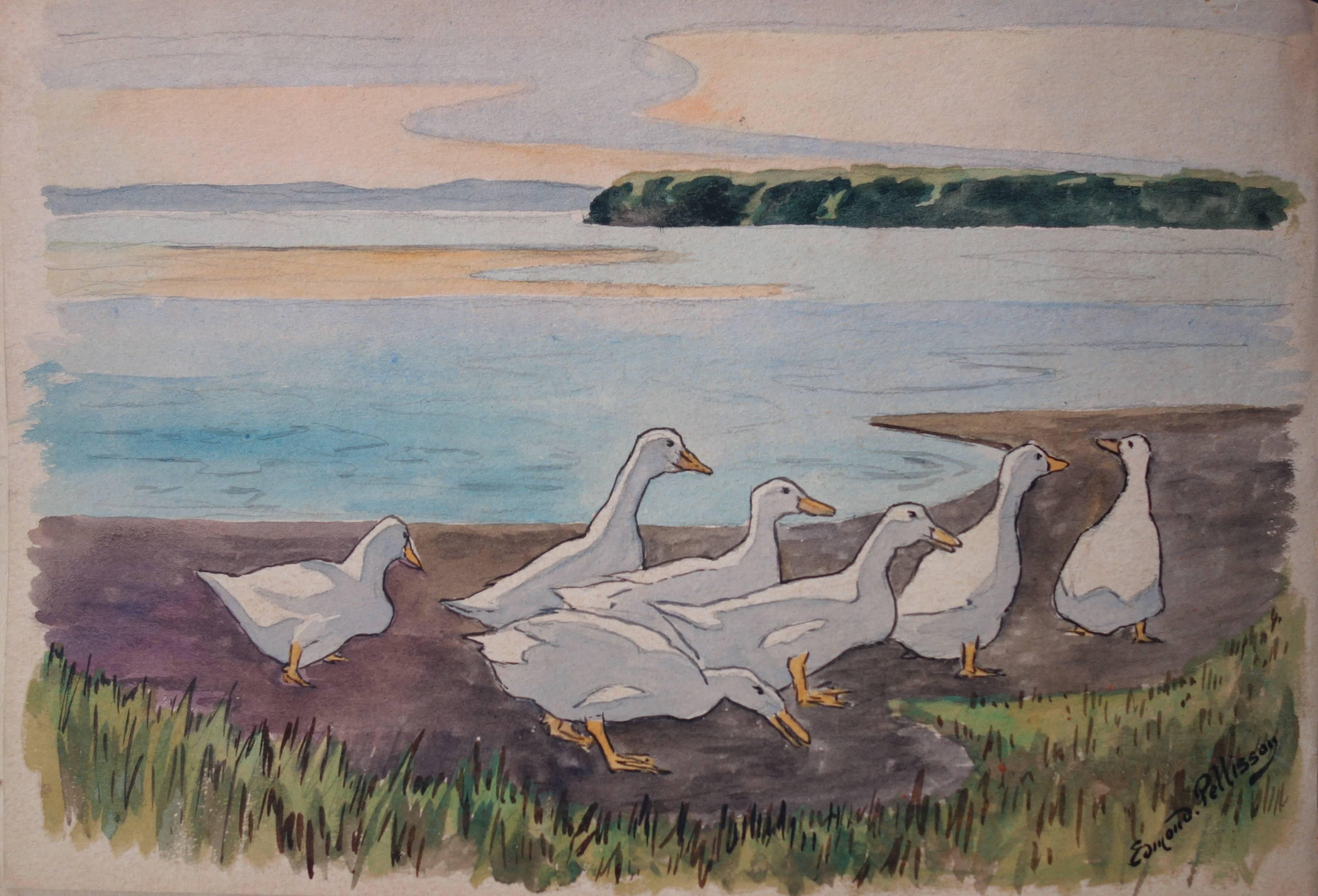 Edmond Pellisson Animal Art - White Ducks Family - Original handsigned watercolor - c. 1899