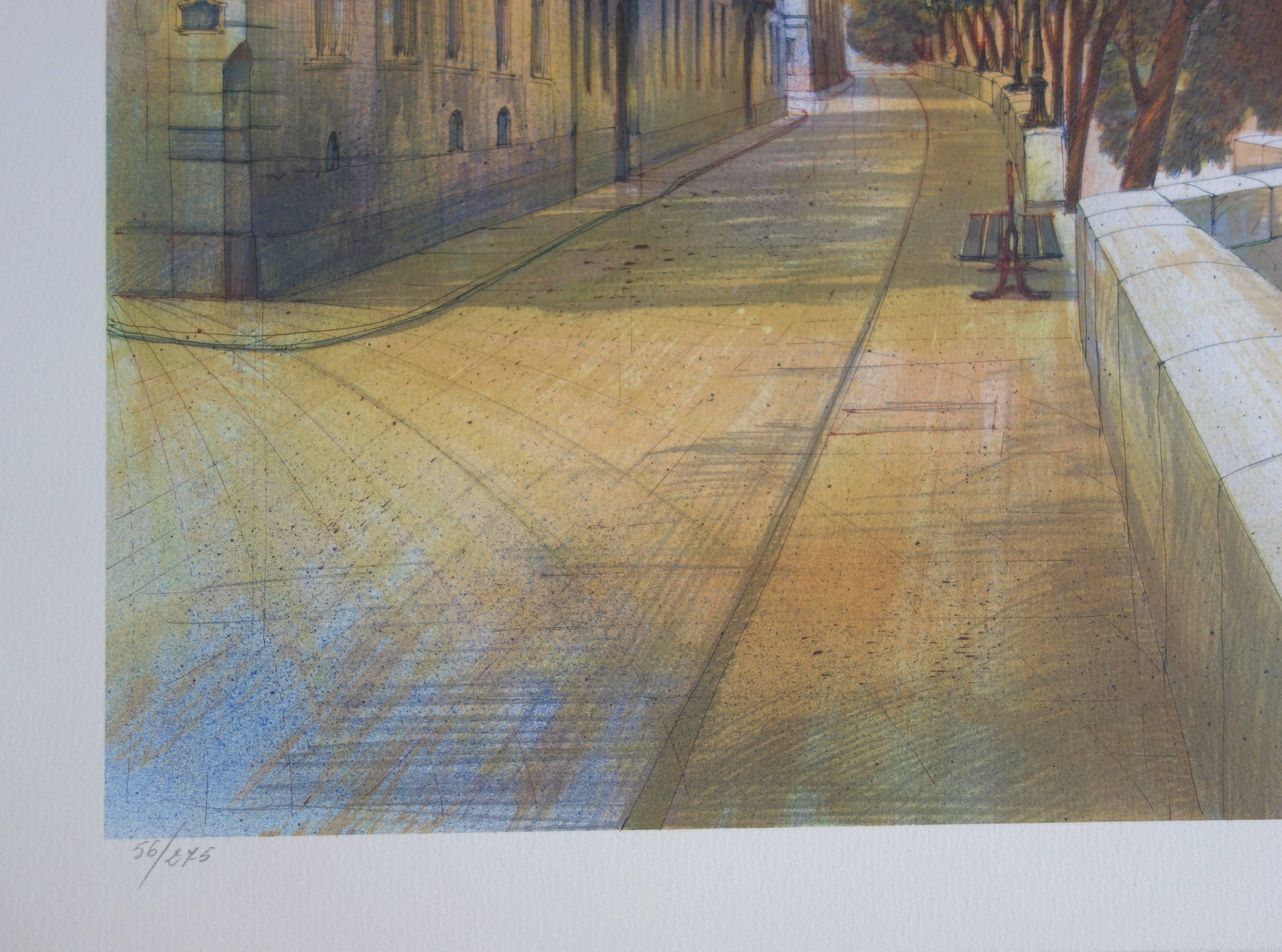 Parigi: vicino alla Senna - Litografia originale firmata - 275ex - Landscape Print Grigio di Rolf RAFFLEWSKI