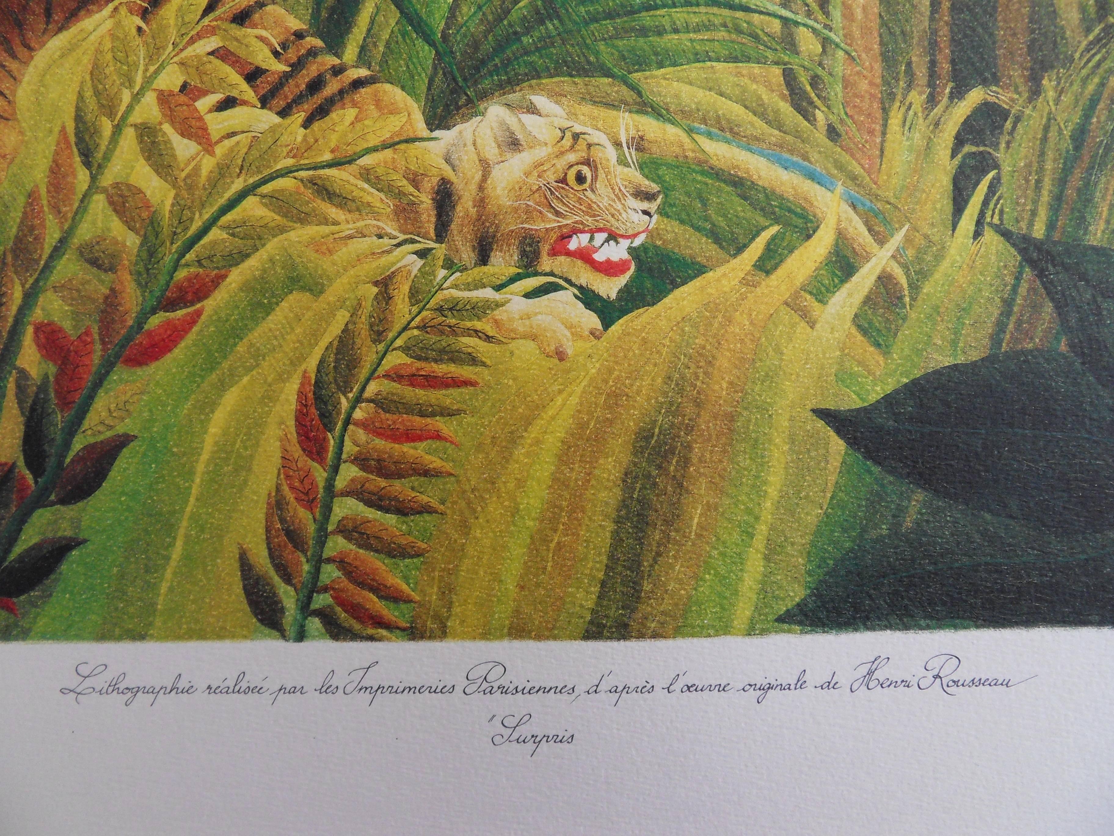 Surprised - Lithograph - 300ex - Gray Animal Print by (after) Henri Rousseau
