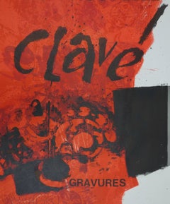 Interiors : Abstract Flowers - Original lithograph - Circa 1975