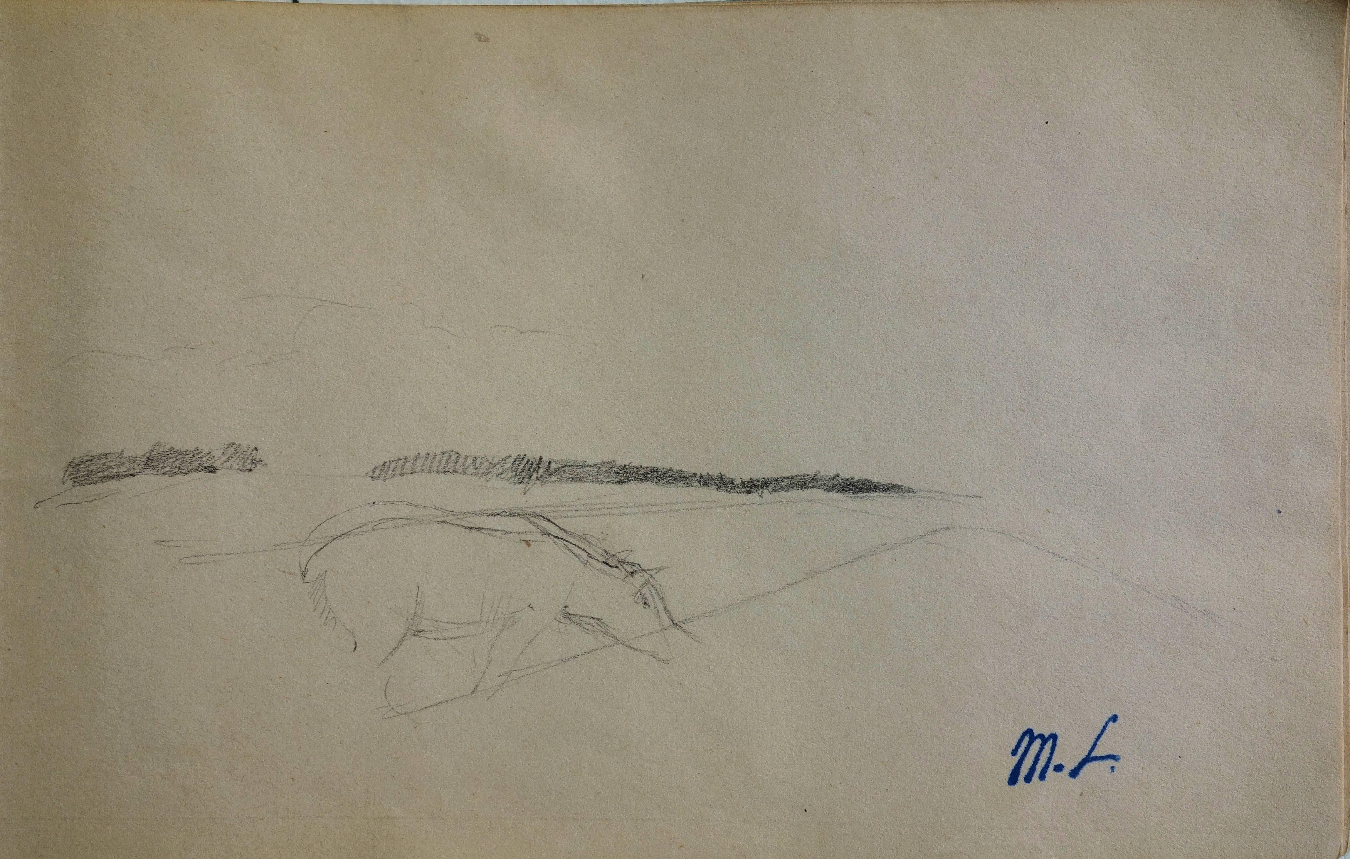 Marie Laurencin Animal Art - Horse in landscape -  Original pencil drawing
