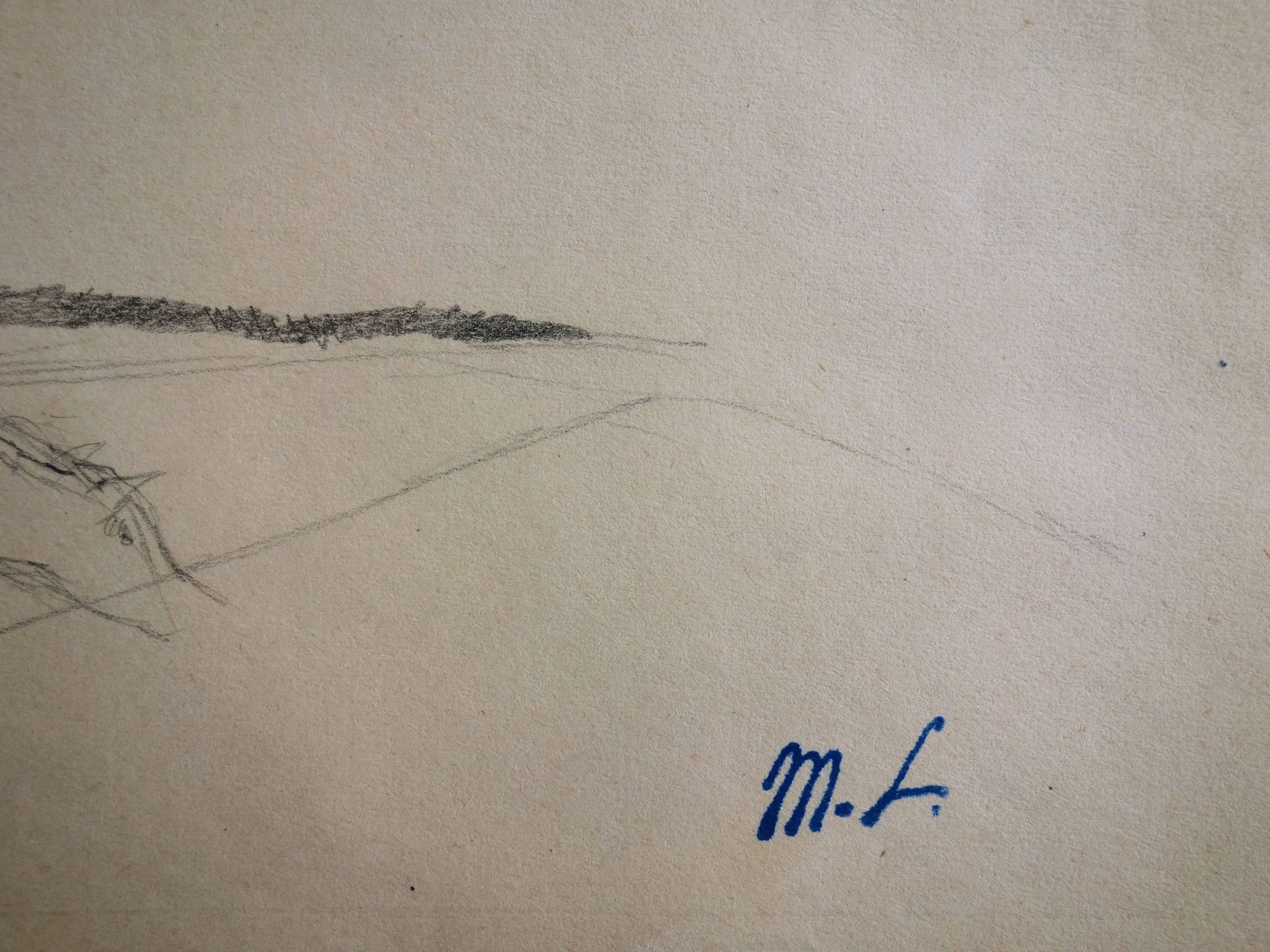 horse landscape drawing