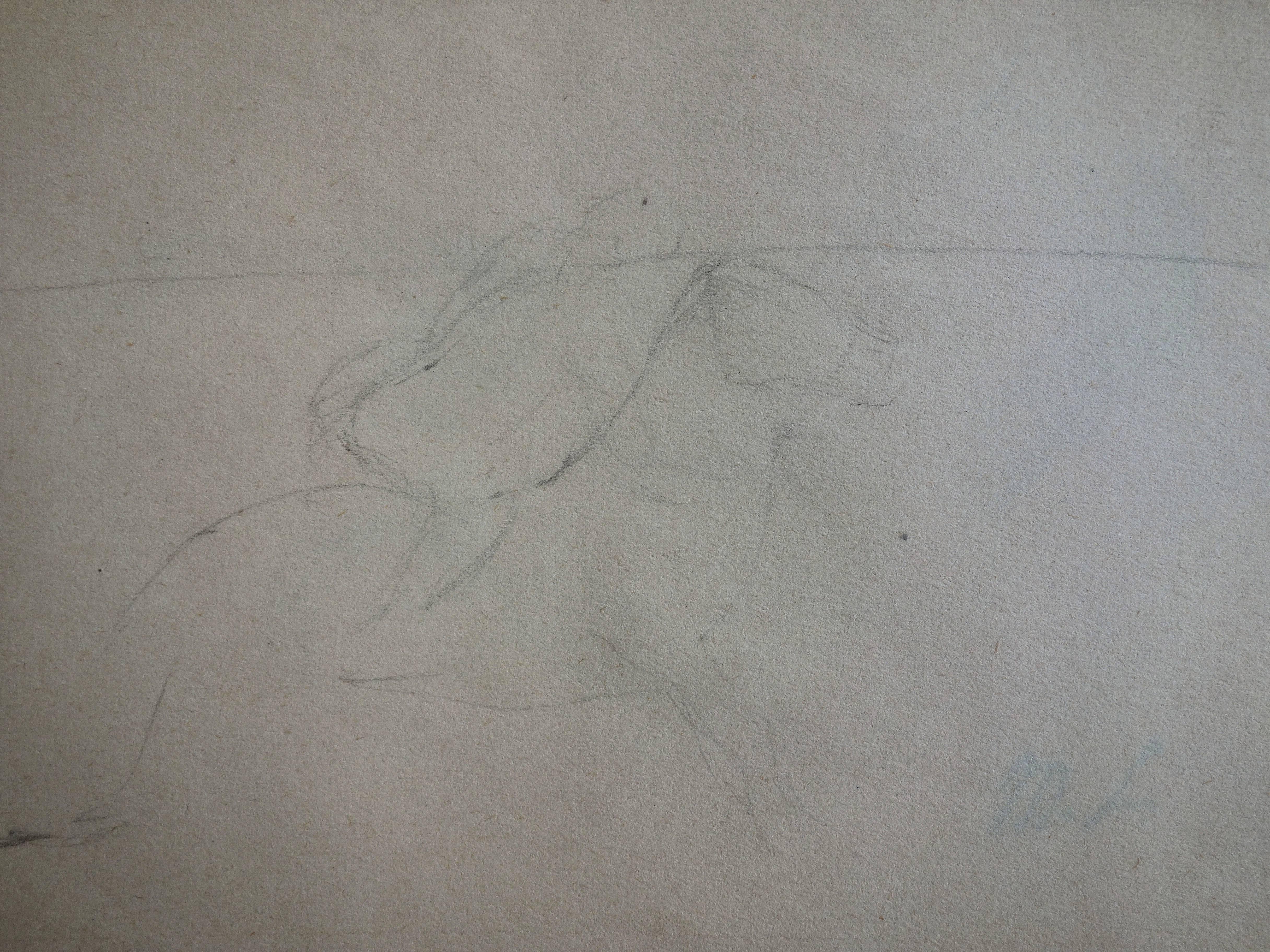 Drawing of knight on horse - Original pencil drawing - Art by Marie Laurencin