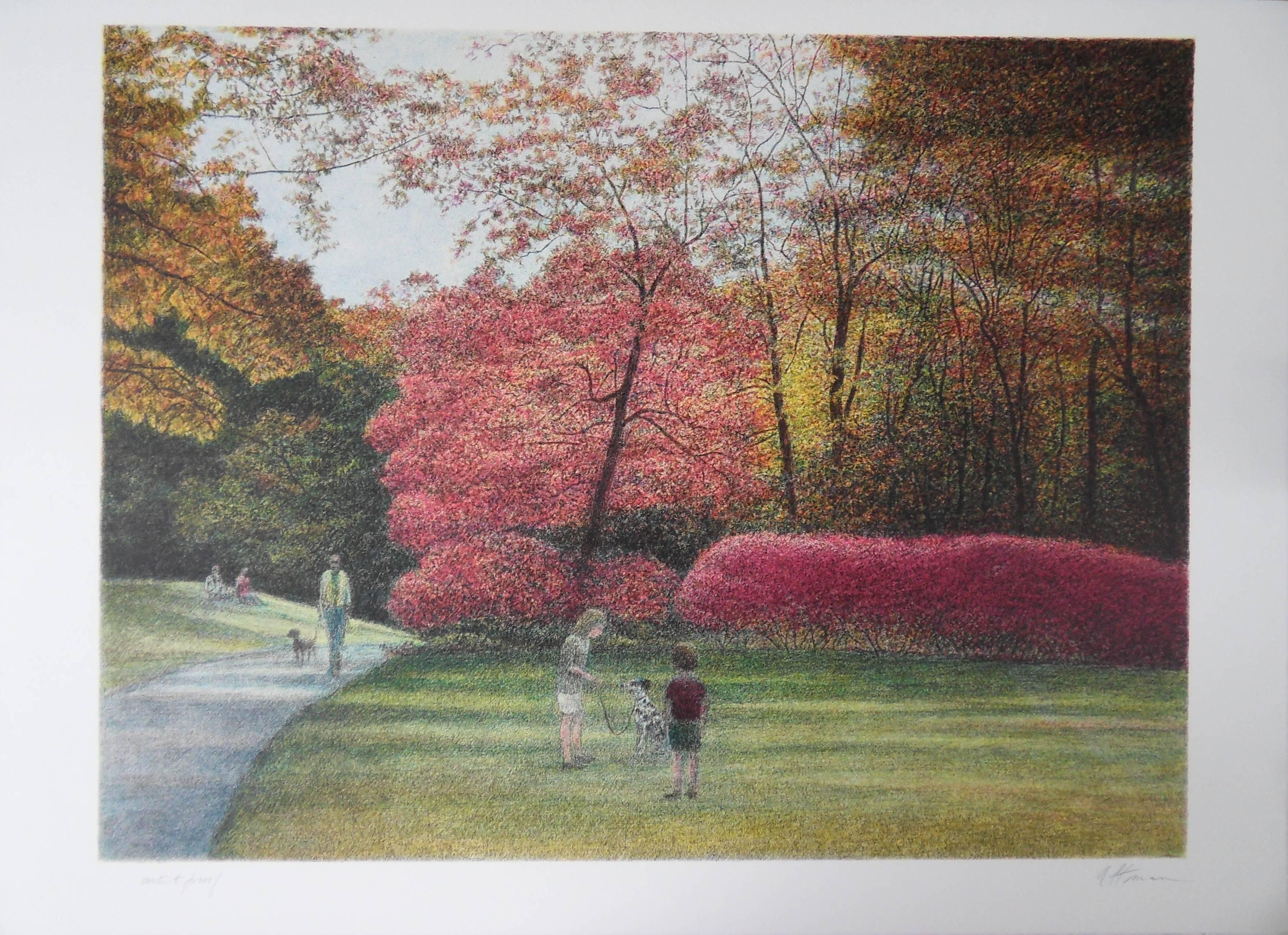 Harold Altman Landscape Print - New York : Fall, Indian Summer in Central Park - Original handsigned lithograph
