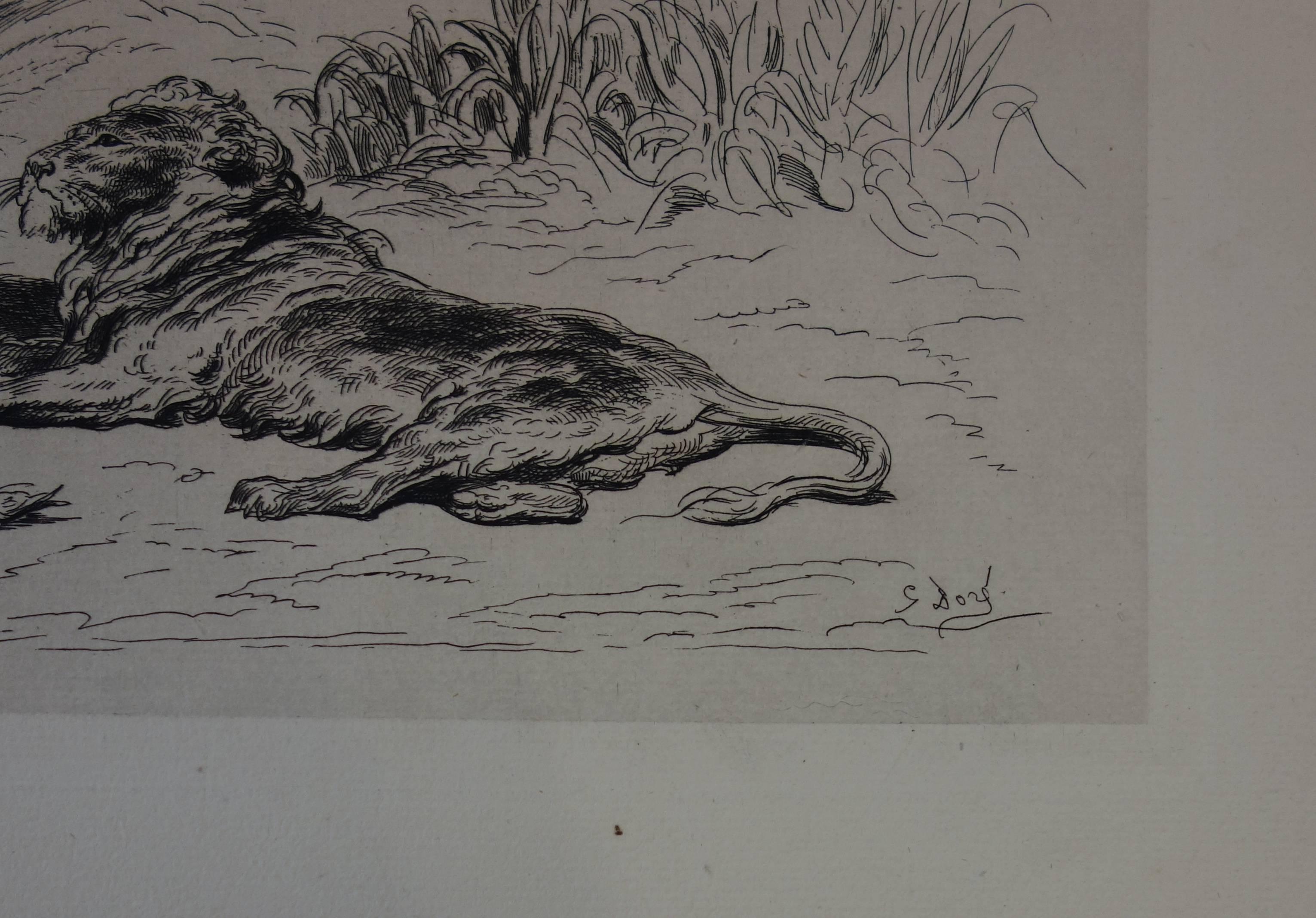 Reclining Lion - Original etching - Print by Gustave Doré