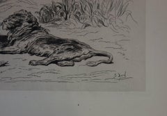 Reclining Lion - Original etching