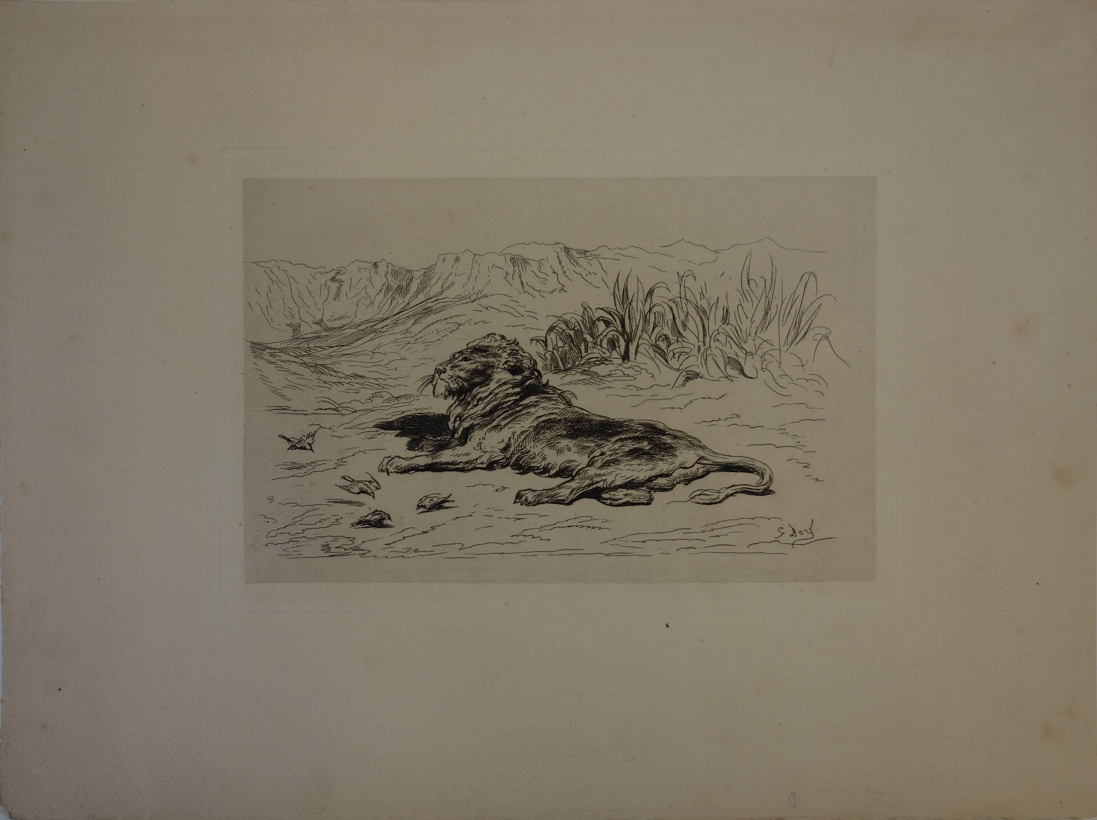 Gustave Doré Animal Print - Reclining Lion - Original etching