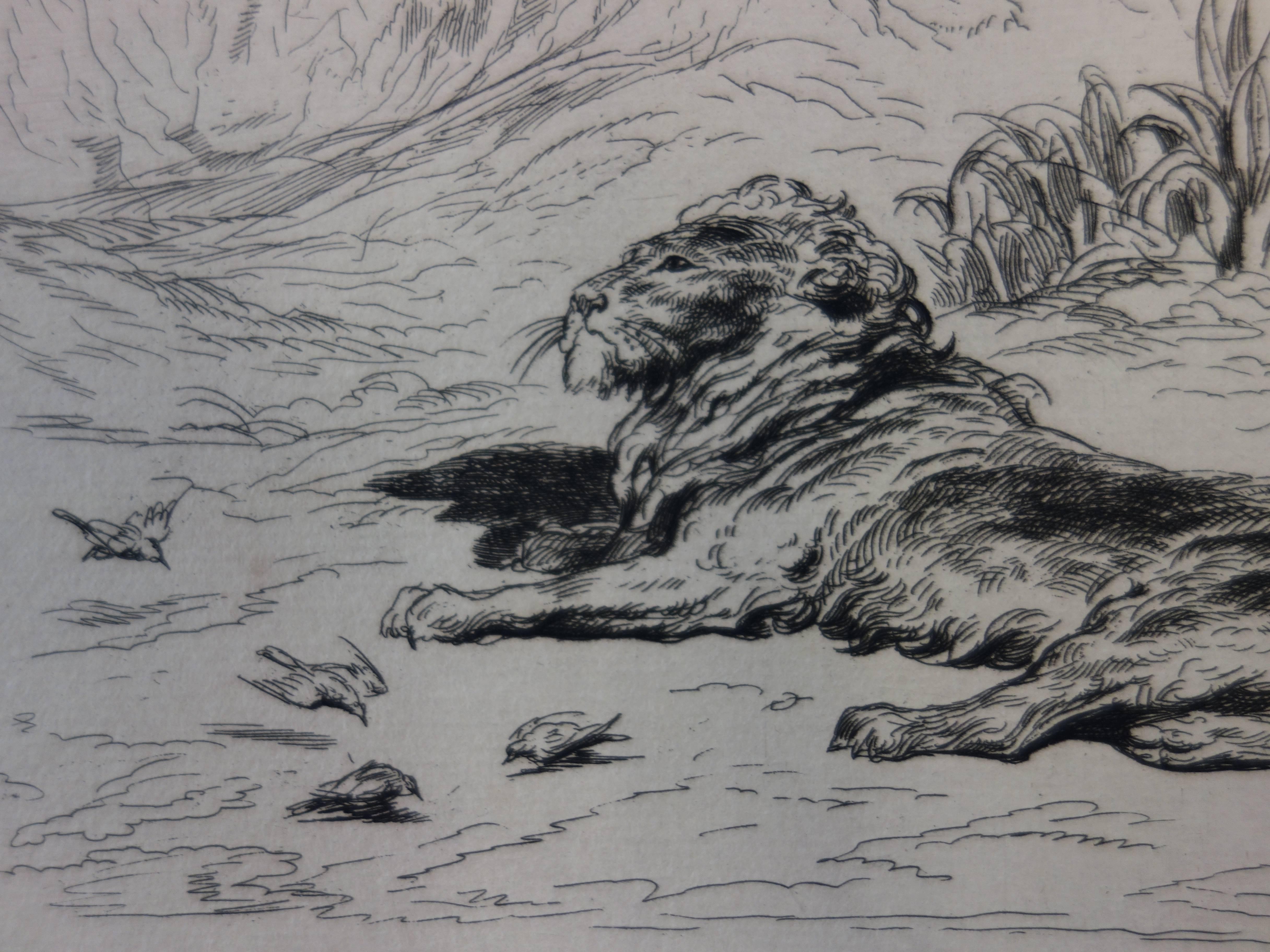 Reclining Lion - Original etching - Gray Animal Print by Gustave Doré