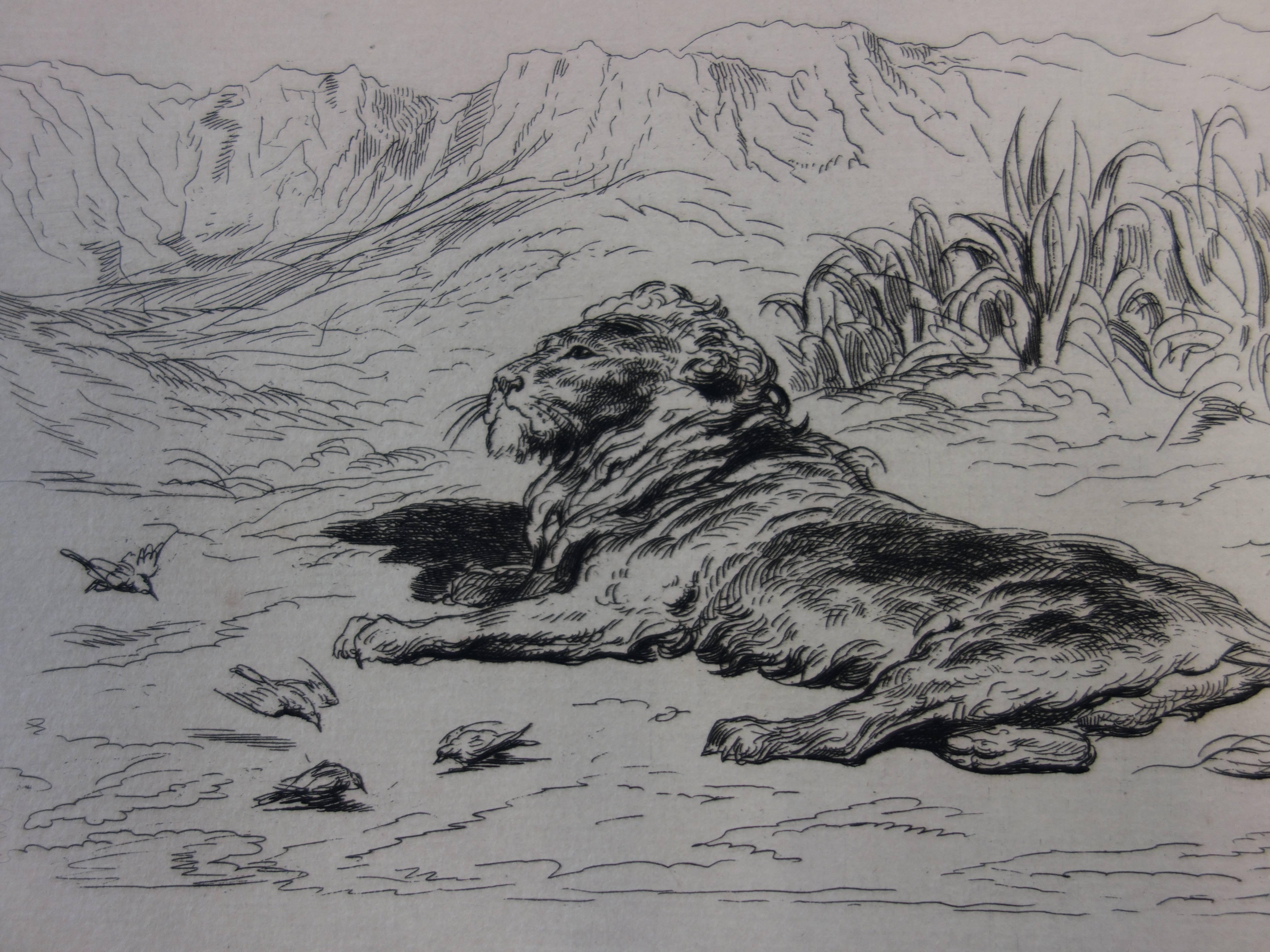 Reclining Lion - Original etching - Impressionist Print by Gustave Doré