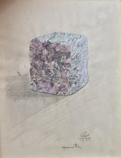 Compression Portrait