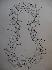 Squelette de violon - eau-forte originale - 75 exemplaires