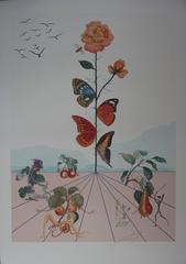 Flordali II : Butterfly Rose