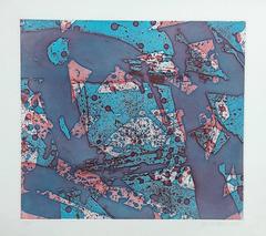Salmon - Original Etching Handsigned - 45 copies