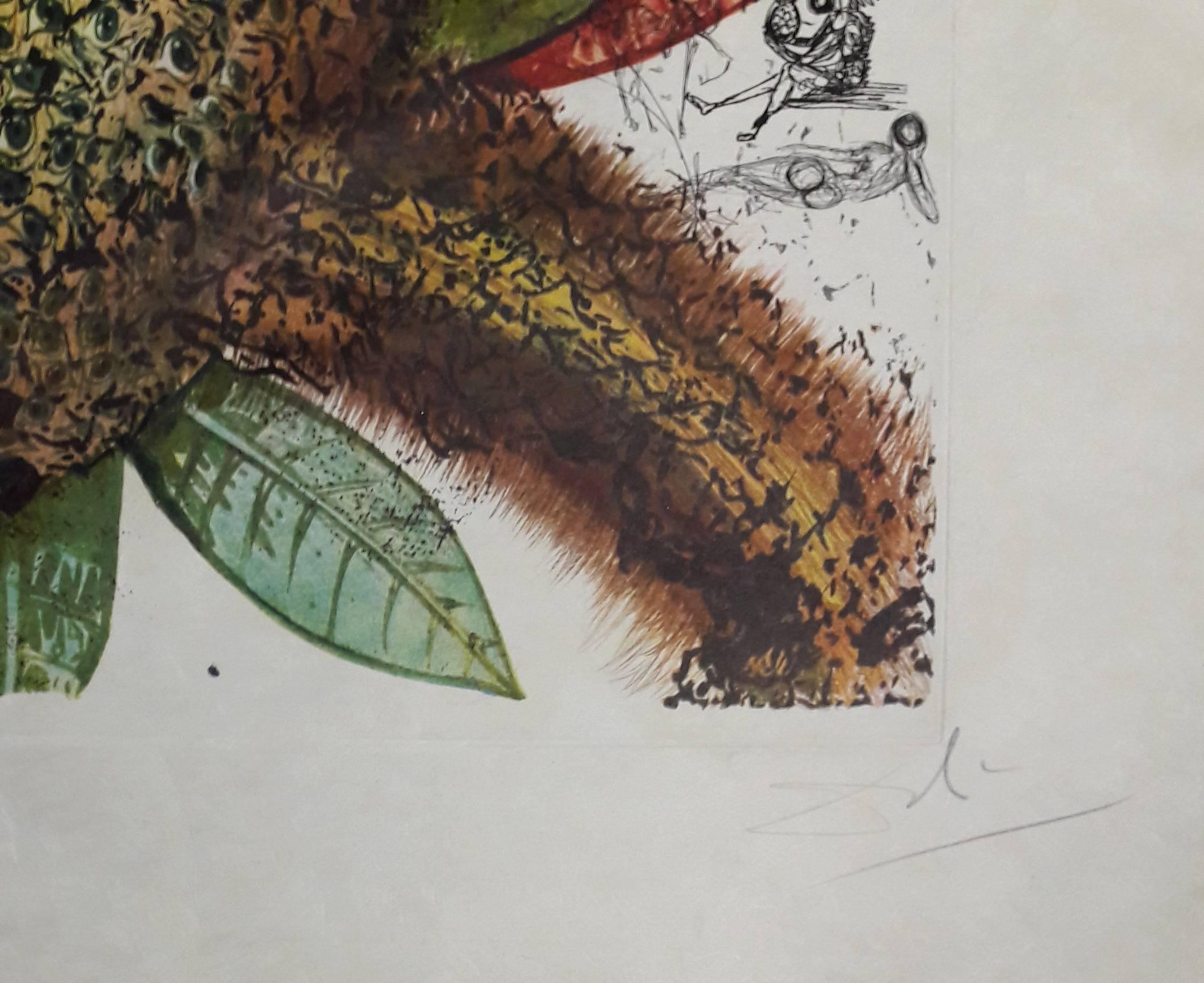 Fleurs Revees - L'ananas - Handsigned Original Lithograph And Etching  - Print by Salvador Dalí