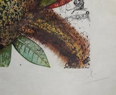 Fleurs Revees - L'ananas - Handsigned Original Lithograph And Etching