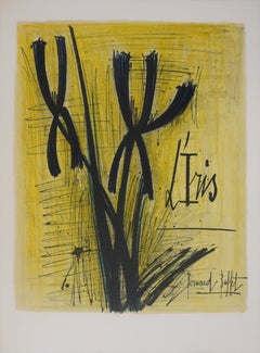 The Iris - Original Lithograph Signed (Mourlot)