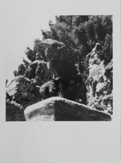 Sculpted Figure - Original photograph