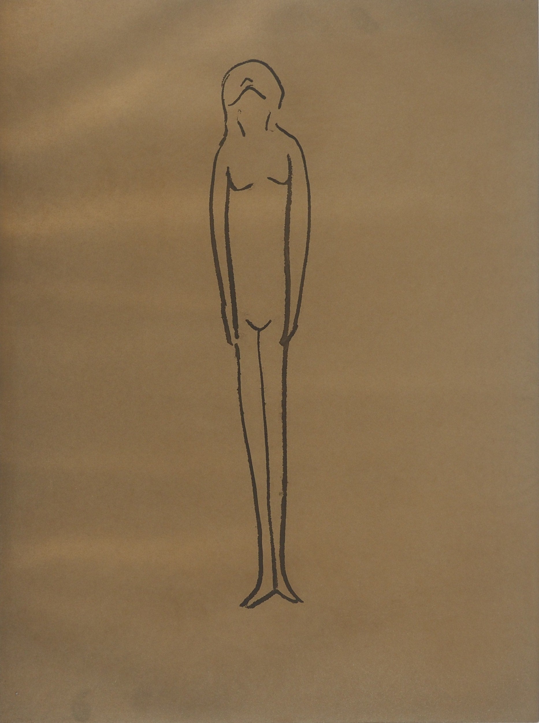 Anatomia, figura femminile - Incisione originale firmata