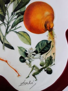 Flordali, Erotic Grapefruit - Porcelain dish (Bordeaux red finish)