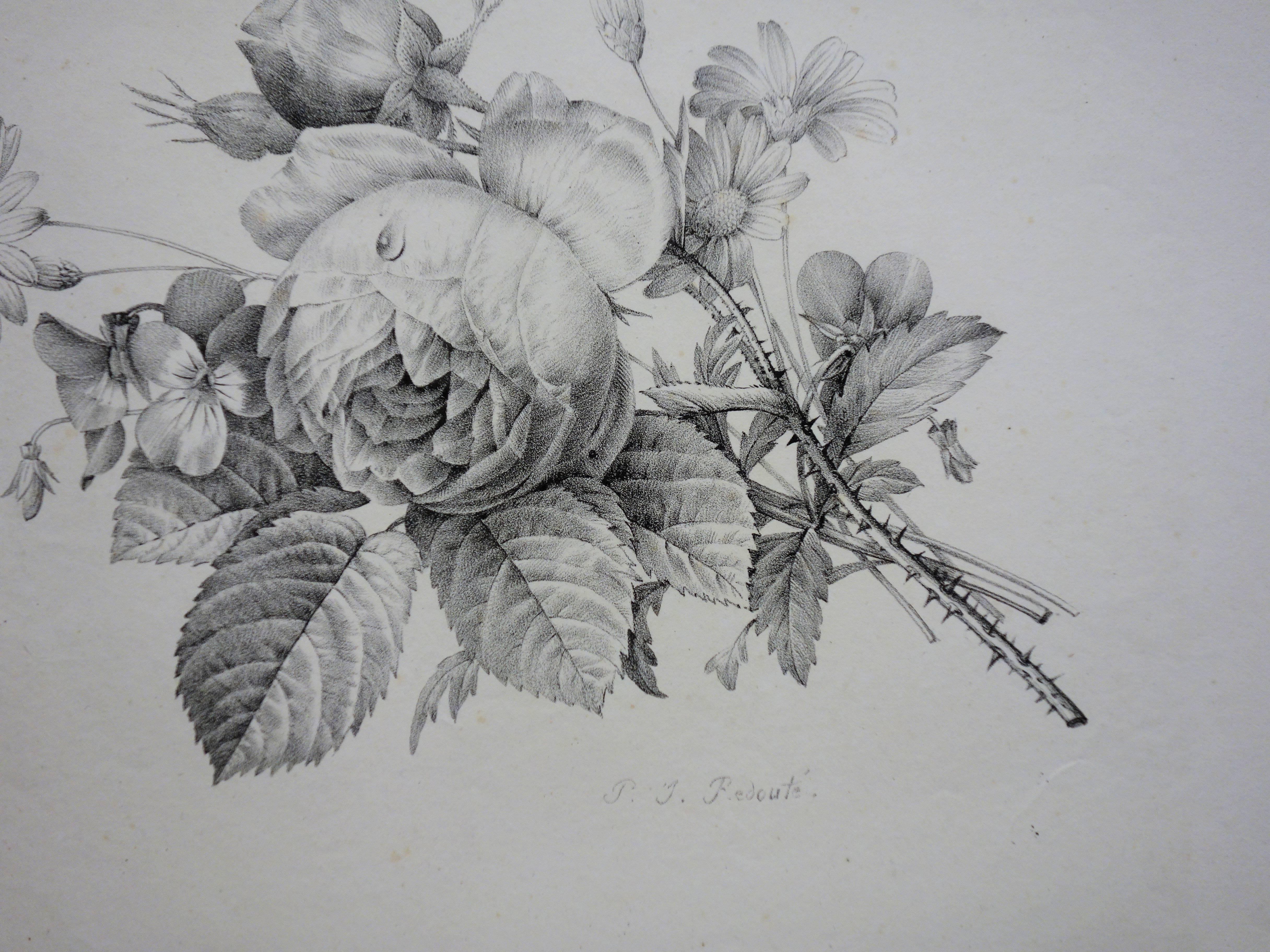 Rose and Flowers - Stone lithograph - Print by Pierre-Joseph Redouté