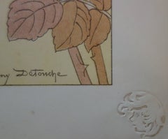 In the Brambles - Original lithograph - 1897