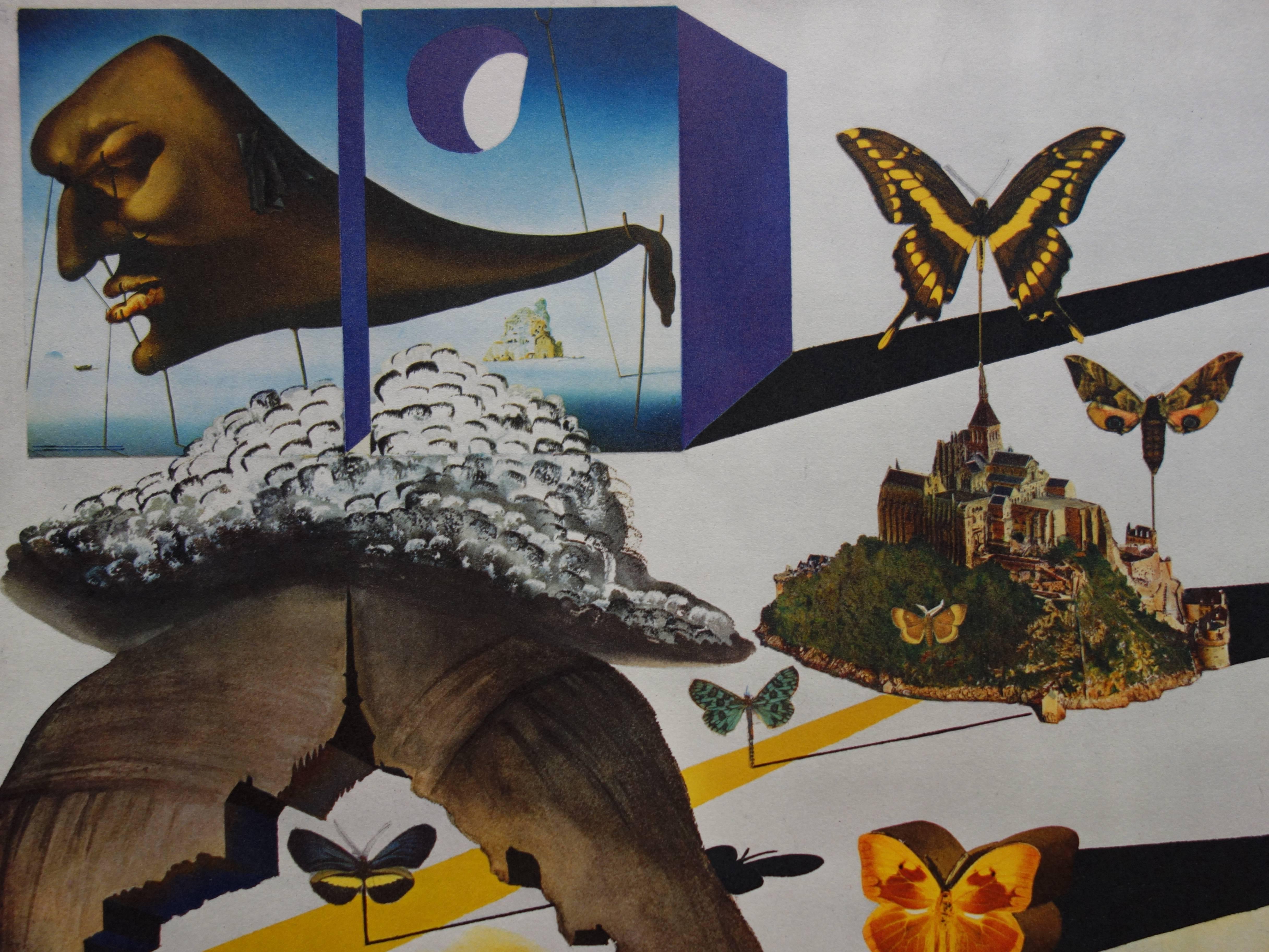 Butterfly suite : Normandy - heliogravure - 1969 - Gray Figurative Print by (after) Salvador Dali