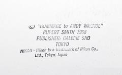 Nikon from the Homage to Andy Warhol Portfolio