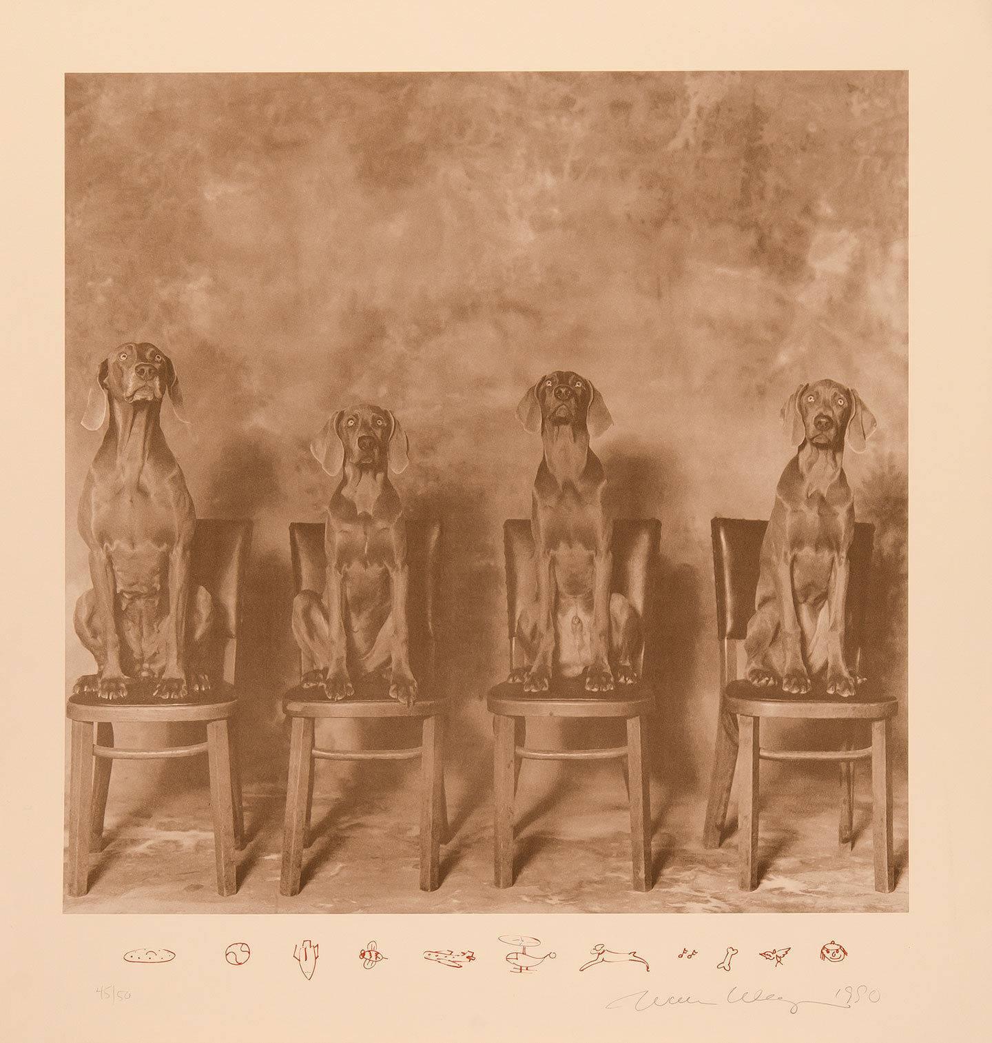 William Wegman Animal Print - Four Dogs on Chairs