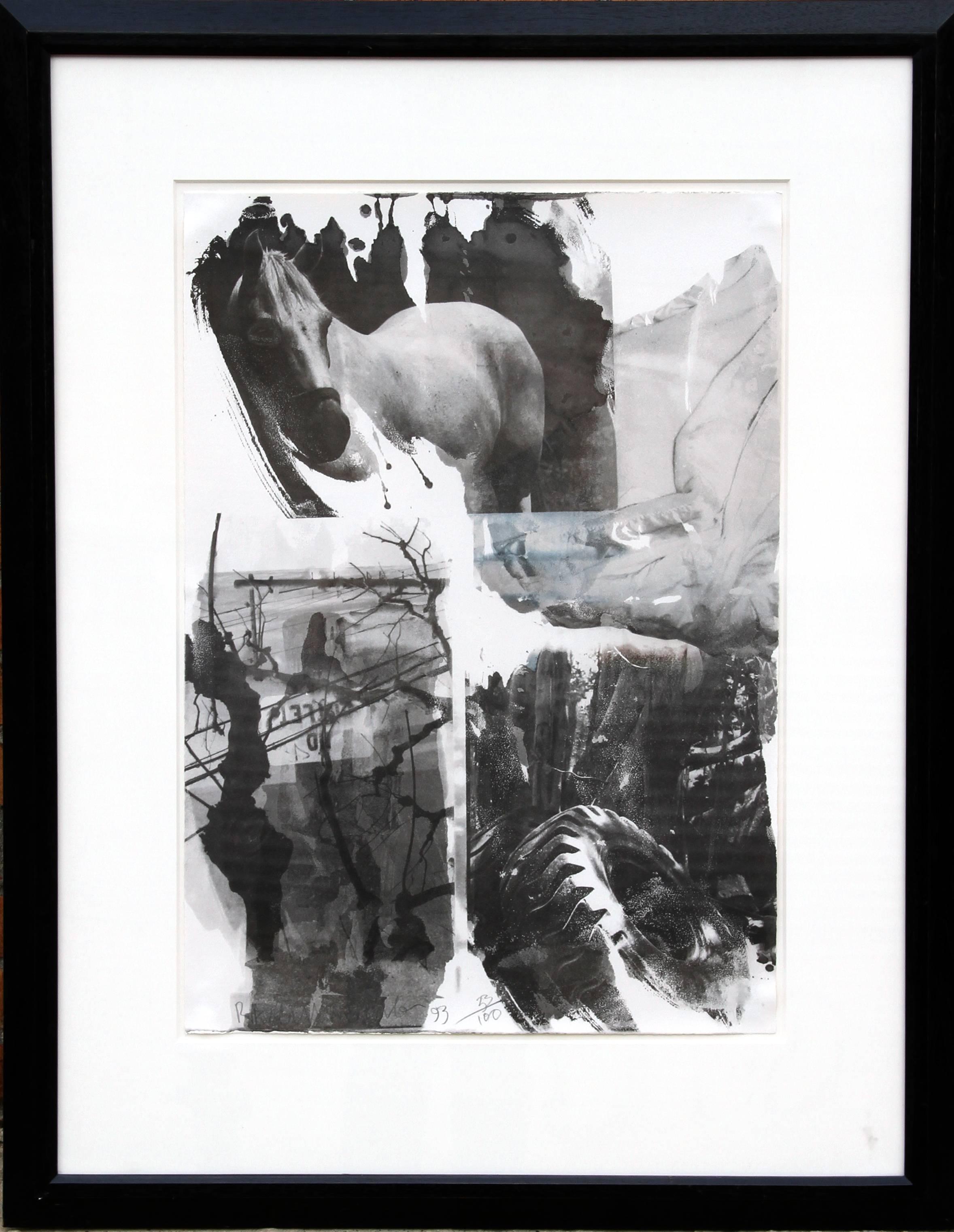Robert Rauschenberg Animal Print - Horse Silk from the Night Sights Series