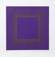 Midnight Suite (Purple with Silver)