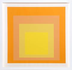 Interaction of Color: Homage to the Square