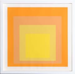 Interaction of Color: Homage to the Square