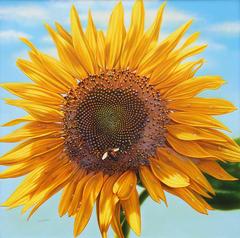 Vintage Blossom 11 (Sunflower and Bee)