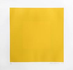 Spring Suite (Yellow with Yellow)