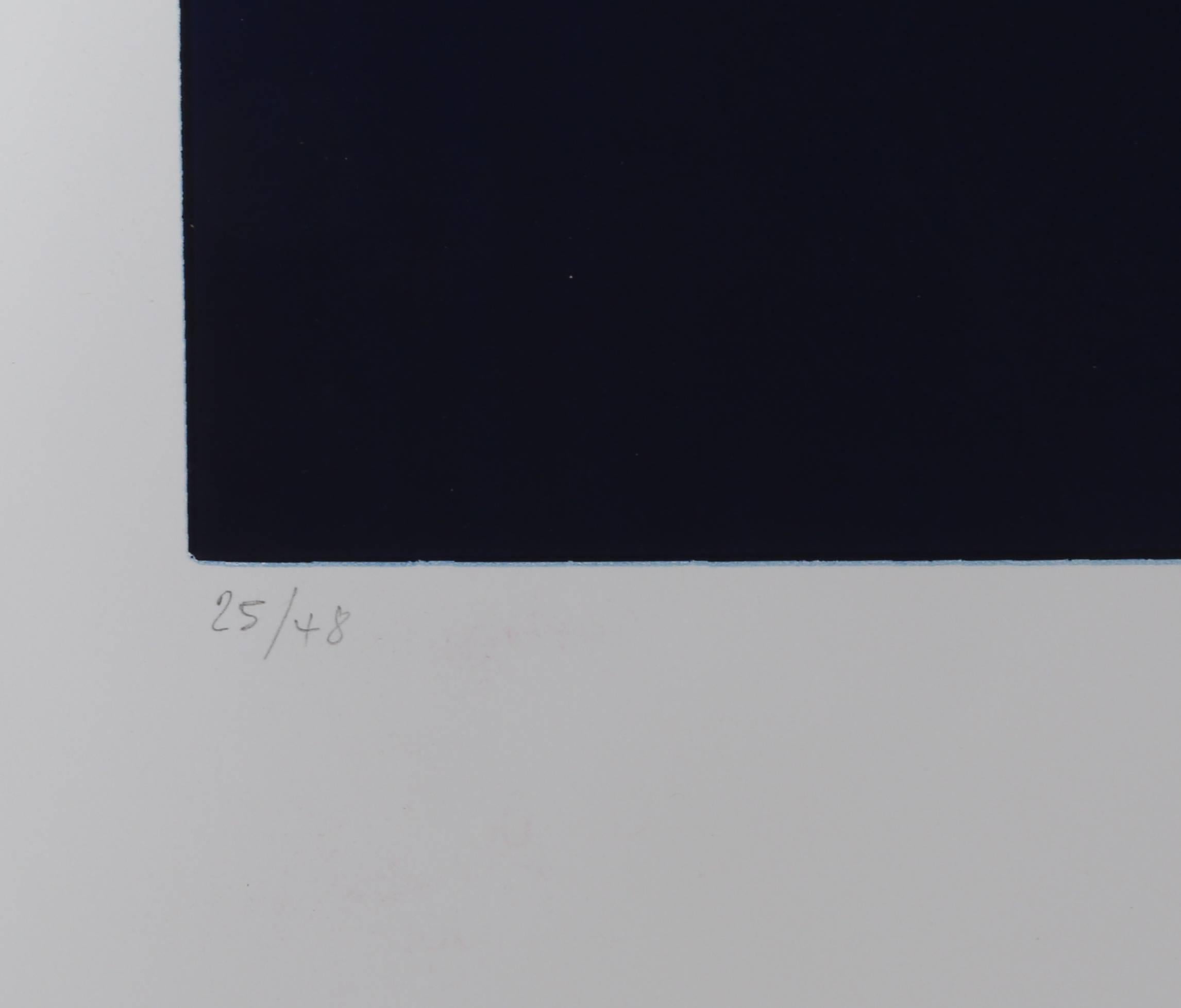Barnett Newman: The Paintings (Blue), Abstract Screenprint by David Diao For Sale 2