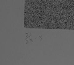 III von Plazas in Transition, minimalistische Aquatinta-Radierung von Barry LeVa