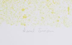 Ovograph, OP Art Serigraph by David Simpson