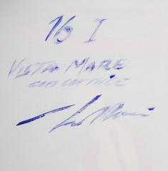 Vista Mare con Cornice, Psychedelic Enamel on Canvas Painting by Pietro Bulloni