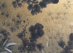 Tiger, Ink Painting on Silk, Chinese Origin, Late XIXth - Early XXth Cent.