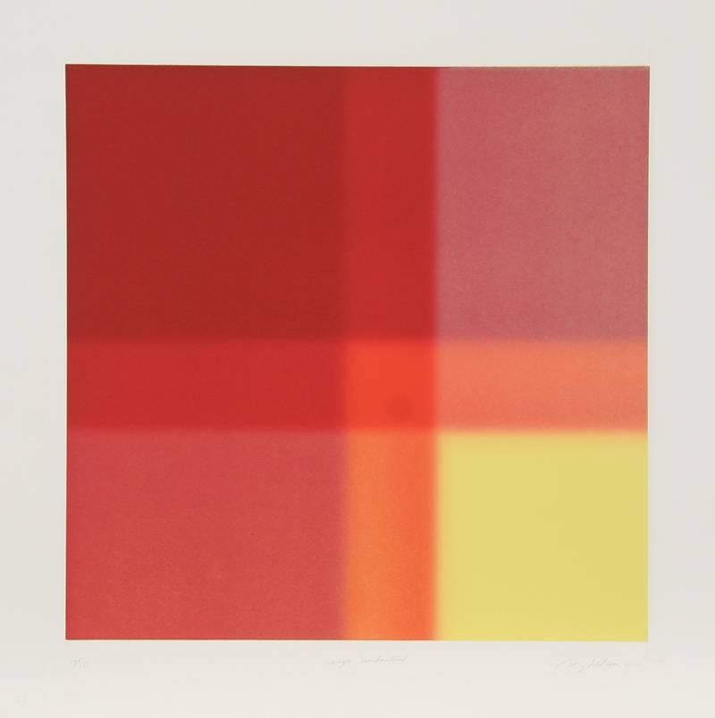 Artist: Barry Nelson, British/American (1937 - )
Title: Rouge Unchartered
Year: 1979
Medium: Etching with Aquatint, Signed and numbered in pencil
Edition: 50
Size: 29 in. x 29.5 in. (73.66 cm x 74.93 cm)