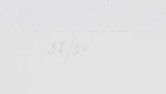 Ohne Titel 2, Aquatinta-Radierung von Gharduer