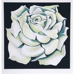 White Rose 8