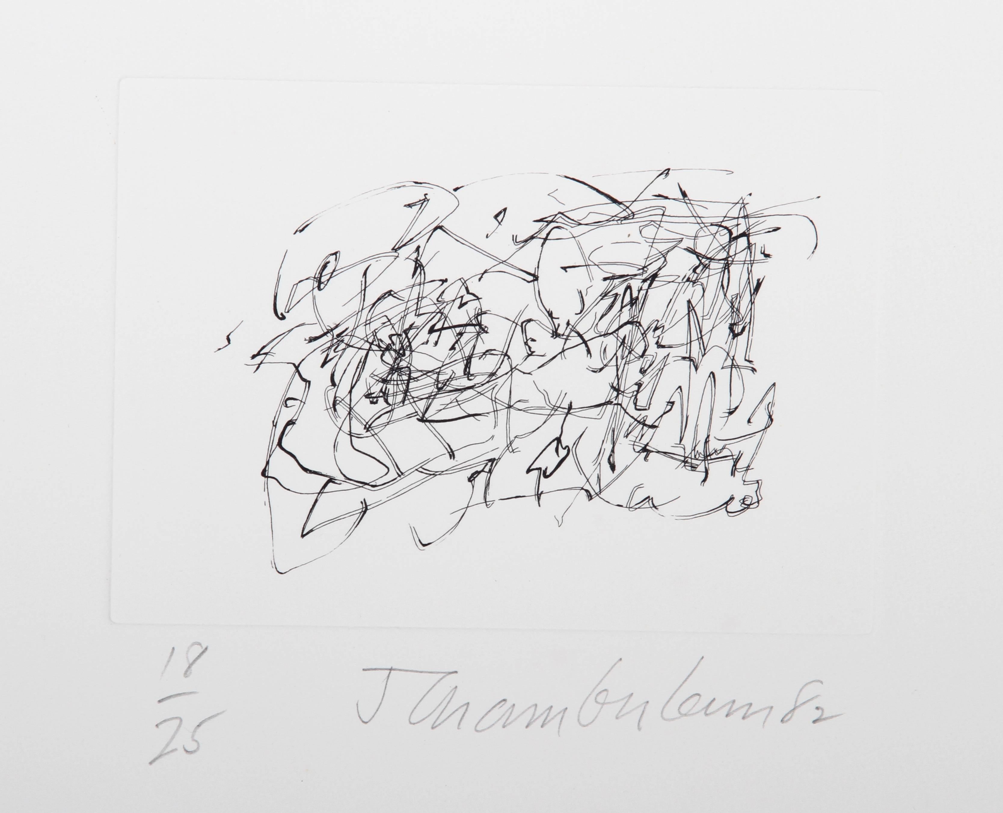Artist: John Chamberlain, American (1927 - 2011)
Title: Ten Coconut Portfolio
Year: 1982
Medium: Portfolio of Six Etchings, each signed and numbered in pencil
Edition: 25
Image Size: 5 x 7 inches
Size: 17 x 15 in. (43.18 x 38.1 cm)

In portfolio box