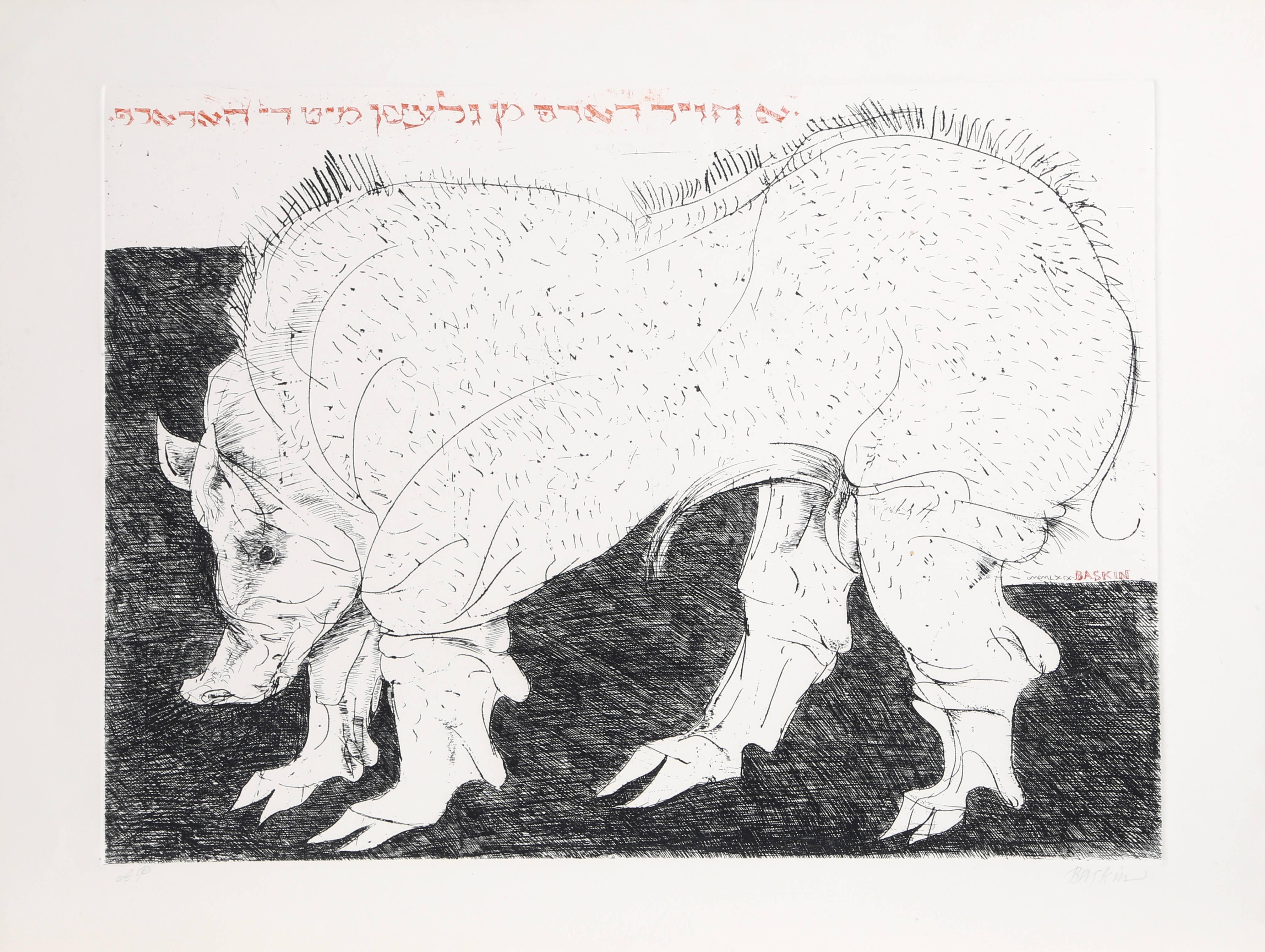 "Warthog, " Drypoint Etching by Leonard Baskin, 1969